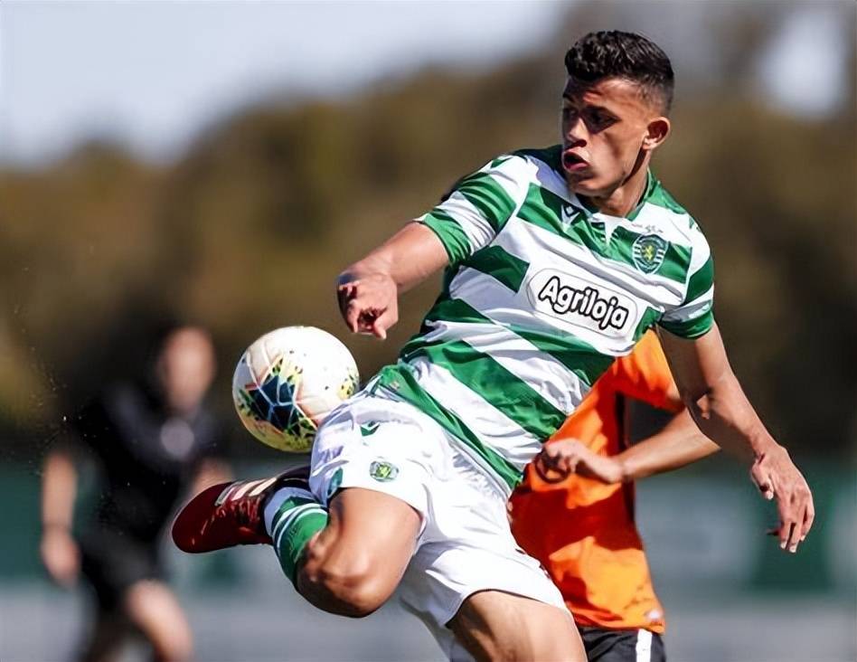 转会期突围战来临，明尼苏达森林狼围绕欧冠完成体检，更衣室稳定，年轻球员得到机会的简单介绍